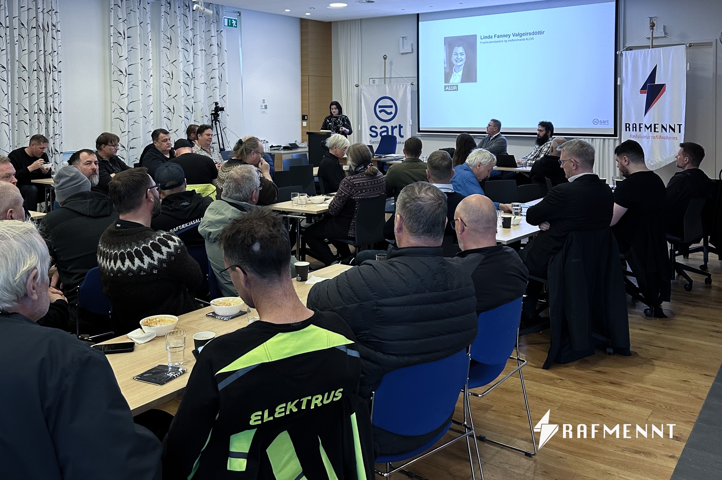 Tækifæri í framleiðslu og geymslu birtuorku